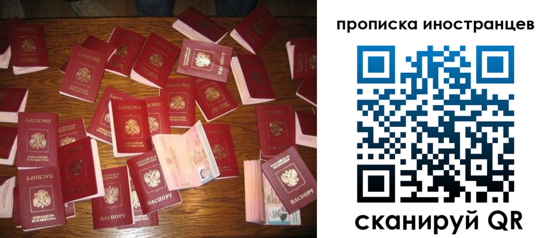 найти адрес прописки в Зеленоградске